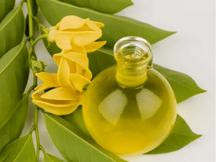 Aromaterapie ke zlepšení účinnosti